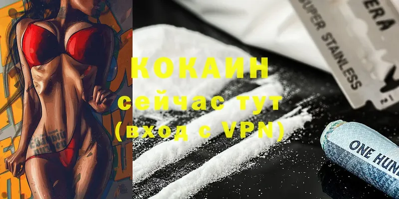 купить наркоту  Подпорожье  Кокаин VHQ 